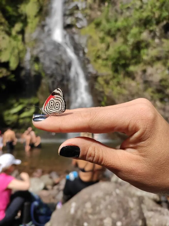 برايا جراندي Chale E Resort Vale Dos Canyons بيت خشبي